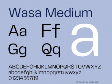 Wasa Medium Version 1.000;hotconv 1.0.109;makeotfexe 2.5.65596 Font Sample