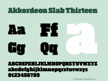 Akkordeon Slab Thirteen Version 1.000;PS 1.0;hotconv 1.0.88;makeotf.lib2.5.647800 Font Sample