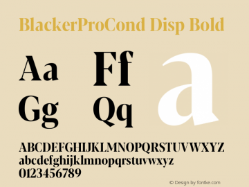 BlackerProCond Disp Bold Version 1.000图片样张