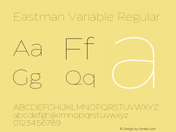 Eastman Variable Version 1.001图片样张