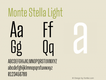 Monte Stella Light Version 1.101 | w-rip DC20200505图片样张