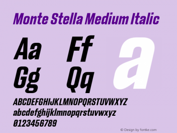 Monte Stella Medium Italic Version 1.101 | w-rip DC20200505图片样张