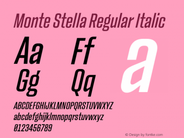 Monte Stella Regular Italic Version 1.101 | w-rip DC20200505图片样张