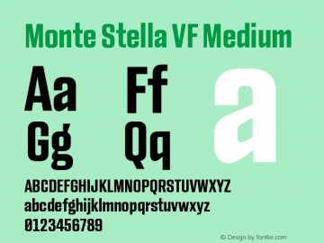 Monte Stella VF Medium Version 1.101 | w-rip DC20200505 Font Sample