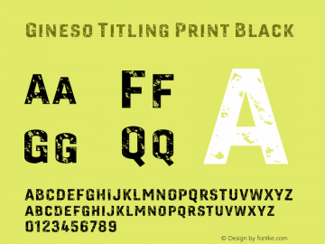 Gineso Titling Print Black Version 1.001图片样张