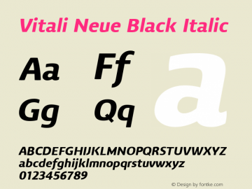 Vitali Neue Black Italic 1.000图片样张