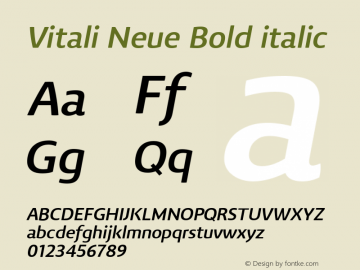 Vitali Neue Bold italic 1.000图片样张