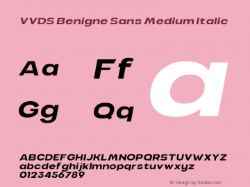 VVDS Benigne Sans Medium Italic 1.000 Font Sample