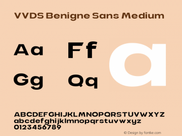 VVDS Benigne Sans Medium 1.000 Font Sample