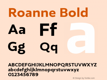 Roanne Bold 1.000图片样张