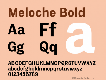 Meloche Bold 2.000图片样张