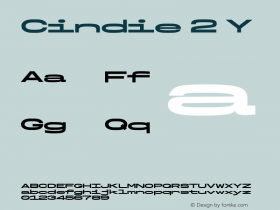 Cindie 2 Y Version 1.000 | wf-rip DC20200325 Font Sample