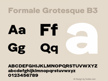 Formale Grotesque B3 Version 2.007;hotconv 1.0.109;makeotfexe 2.5.65596图片样张