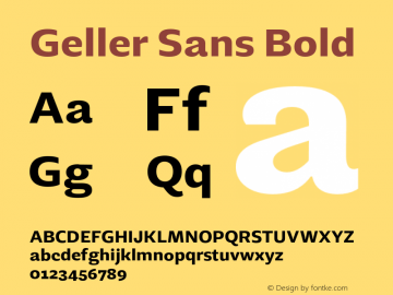 Geller Sans Bold Version 1.000 | w-rip DC20200315 Font Sample