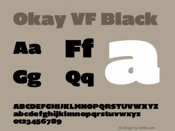 Okay VF Black Version 1.000;hotconv 1.0.109;makeotfexe 2.5.65596 Font Sample