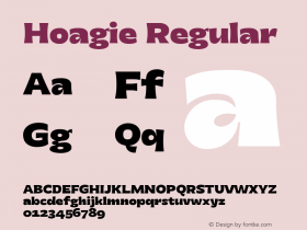 Hoagie Version 0.000;PS 0.0;hotconv 1.0.88;makeotf.lib2.5.647800 Font Sample
