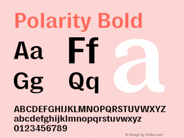 Polarity Bold Version 1.0 Font Sample