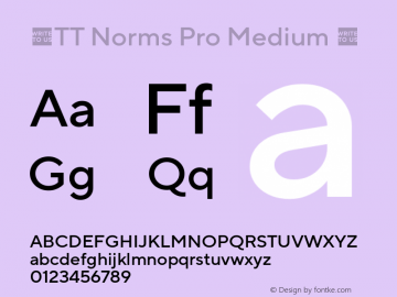 ☠TT Norms Pro Medium Version 2.140TT-Norms-Pro-Medium-TTwebKit图片样张
