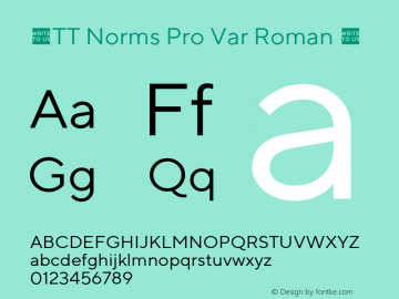 ☠TT Norms Pro Var Roman Version 2.140TT-Norms-Pro-Var-Roman-TTwebKit图片样张