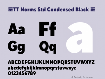 ☠TT Norms Std Condensed Black Version 1.000.09042020TT-Norms-Std-Condensed-Black-TTwebKit图片样张