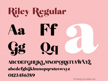 Riley Regular Version 1.000 | w-rip DC20190610 Font Sample