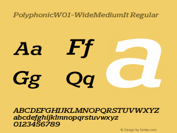 Polyphonic W01 Wide Medium It Version 1.00图片样张