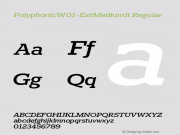 Polyphonic W01 Ext Medium It Version 1.00 Font Sample