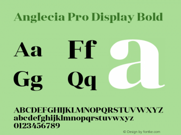 AngleciaProDisplay-Bold Version 001.000 Font Sample