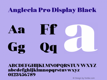 AngleciaProDisplay-Black Version 001.000图片样张