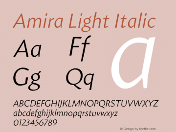 Amira-LightItalic Version 1.000图片样张