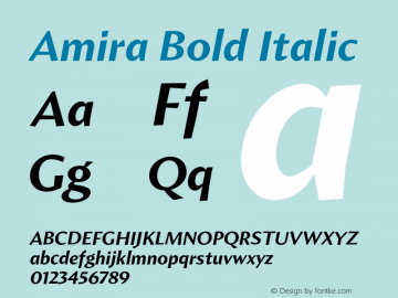 Amira-BoldItalic Version 1.000图片样张