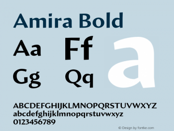 Amira-Bold Version 1.000图片样张