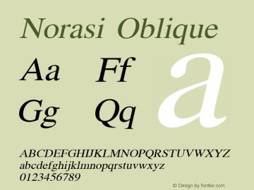 Norasi Oblique Version 004.009: 2008-05-16图片样张
