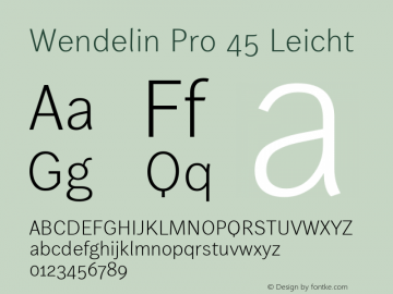 Wendelin Pro 45 Leicht 1.011图片样张