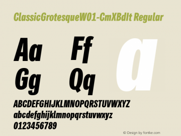 Classic Grotesque W01 Cm XBd It Version 1.00 Font Sample