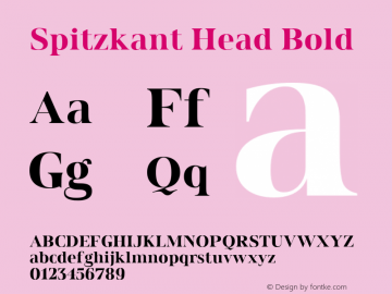 SpitzkantHead-Bold Version 1.000;hotconv 1.0.109;makeotfexe 2.5.65596;com.myfonts.easy.julien-fincker.spitzkant.head-bold.wfkit2.version.5w8a图片样张