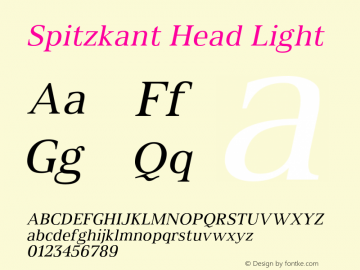 SpitzkantHead-Light Version 1.000;hotconv 1.0.109;makeotfexe 2.5.65596;com.myfonts.easy.julien-fincker.spitzkant.text-regular-oblique.wfkit2.version.5w8h图片样张