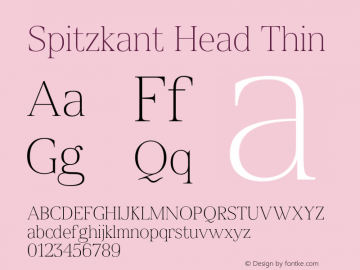 SpitzkantHead-Thin Version 1.000;hotconv 1.0.109;makeotfexe 2.5.65596;com.myfonts.easy.julien-fincker.spitzkant.head-thin.wfkit2.version.5w82图片样张