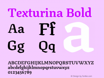 Texturina Bold Version 1.000;hotconv 1.0.109;makeotfexe 2.5.65596图片样张