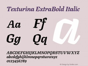 Texturina ExtraBold Italic Version 1.000;hotconv 1.0.109;makeotfexe 2.5.65596图片样张