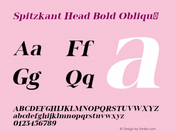 Spitzkant Head Bold Oblique Version 1.000;hotconv 1.0.109;makeotfexe 2.5.65596;com.myfonts.easy.julien-fincker.spitzkant.head-bold-oblique.wfkit2.version.5w8b图片样张