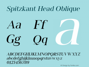 Spitzkant Head Oblique Version 1.000;hotconv 1.0.109;makeotfexe 2.5.65596;com.myfonts.easy.julien-fincker.spitzkant.head-regular-oblique.wfkit2.version.5w87图片样张