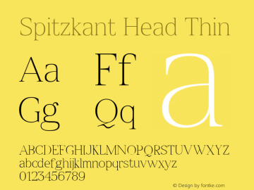 Spitzkant Head Thin Version 1.000;hotconv 1.0.109;makeotfexe 2.5.65596;com.myfonts.easy.julien-fincker.spitzkant.head-thin.wfkit2.version.5w82图片样张