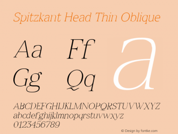 Spitzkant Head Thin Oblique Version 1.000;hotconv 1.0.109;makeotfexe 2.5.65596;com.myfonts.easy.julien-fincker.spitzkant.head-thin-oblique.wfkit2.version.5w83图片样张