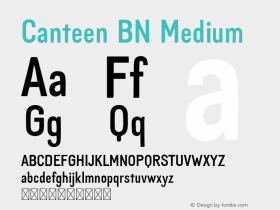 Canteen BN Medium Version 1.004;Fontself Maker 3.5.1图片样张