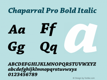 Chaparral Pro Bold Italic Version 2.044;PS 2.000;hotconv 1.0.57;makeotf.lib2.0.21895图片样张