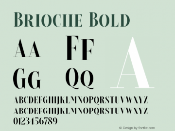 Brioche Bold Version 1.000 Font Sample