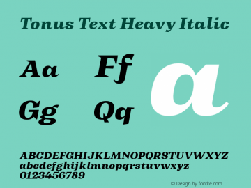 Tonus Text Heavy Italic 1.000图片样张