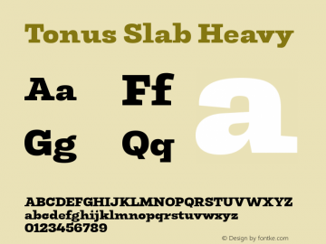 Tonus Slab Heavy 1.000 Font Sample