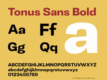 Tonus Sans Bold 1.000图片样张